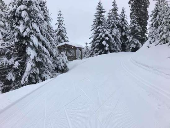 neige